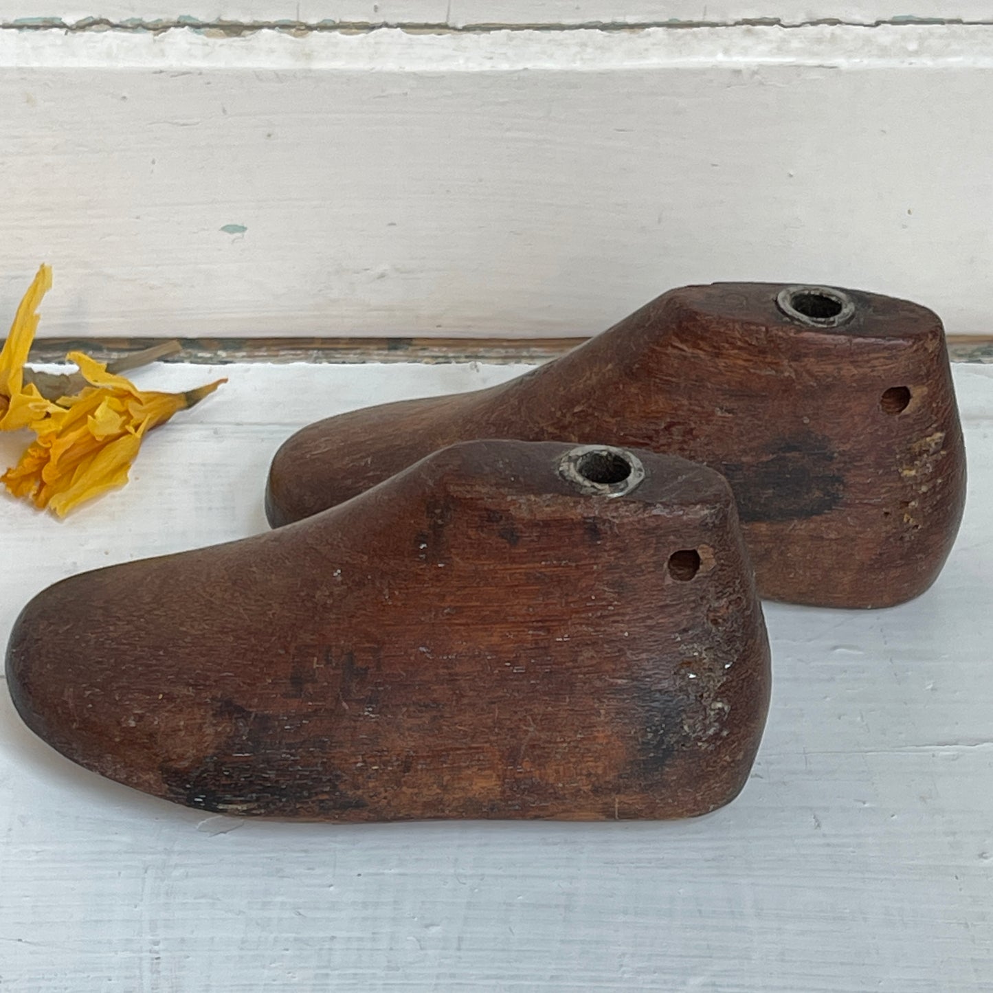 Children's Wooden Shoe Lasts