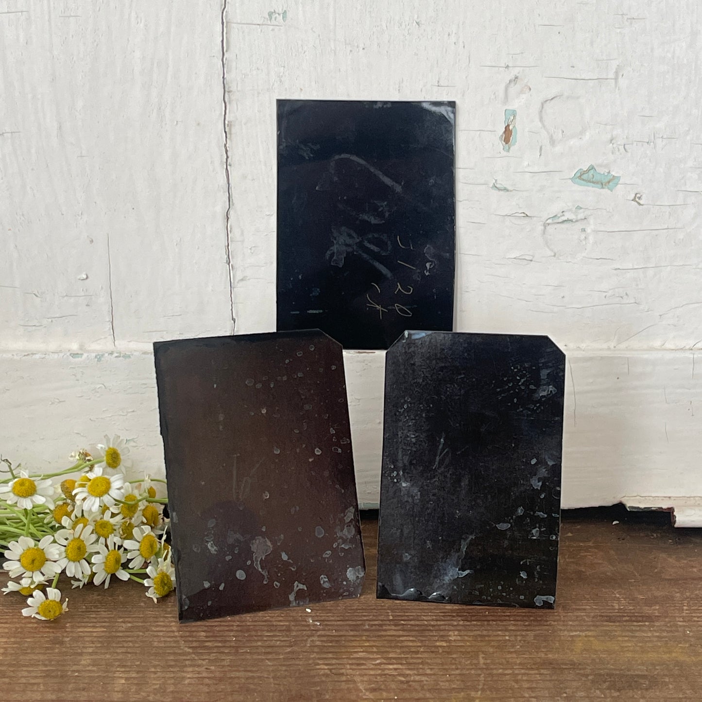 Antique Tintype Photo Collection