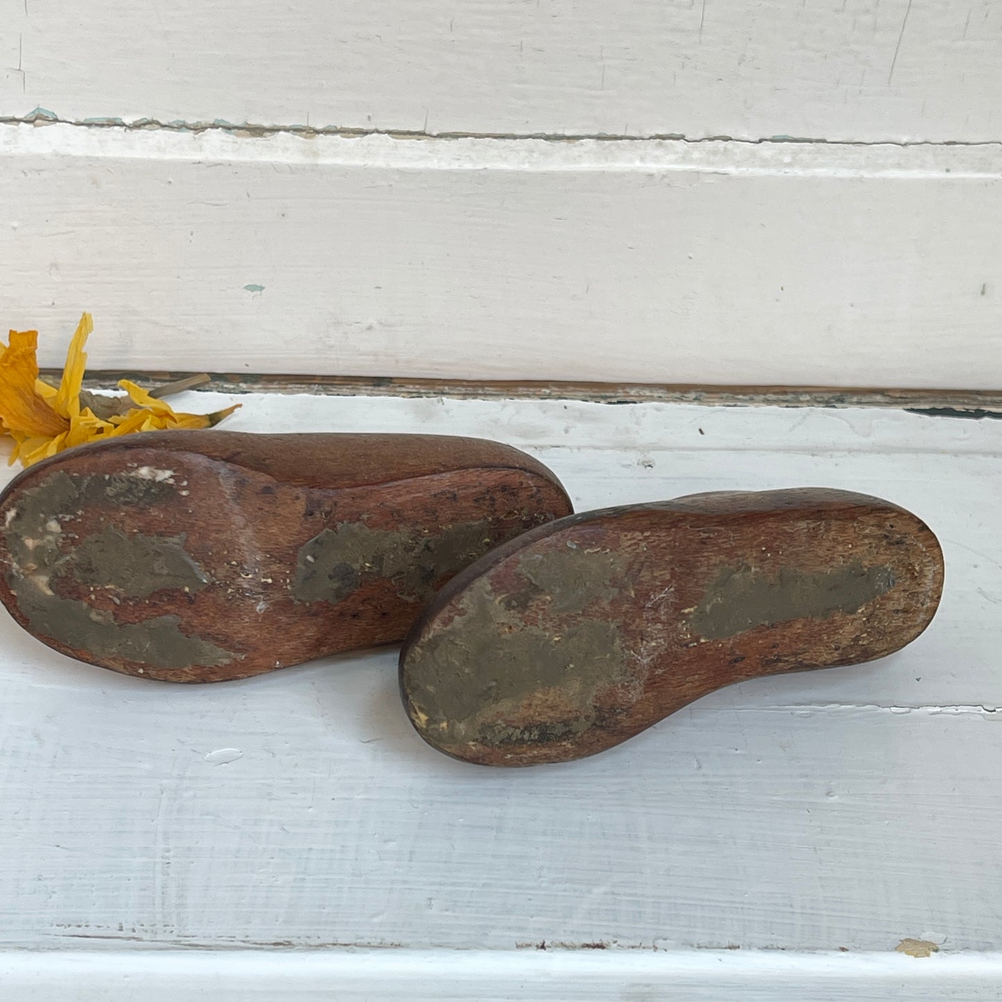 Children's Wooden Shoe Lasts