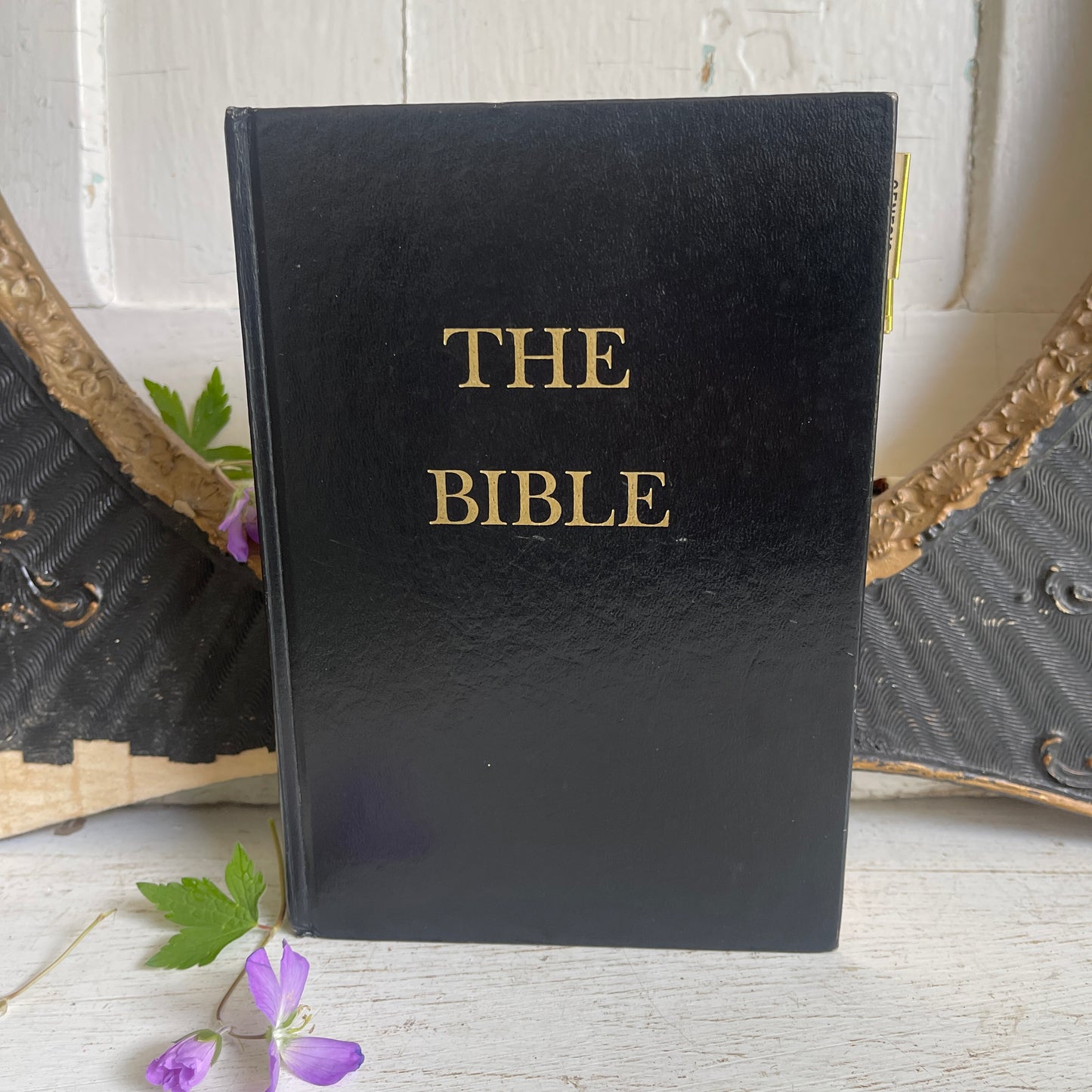 Vintage Bible Book
