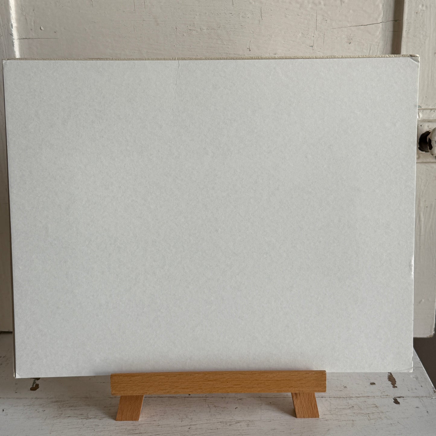 Sheep Artwork