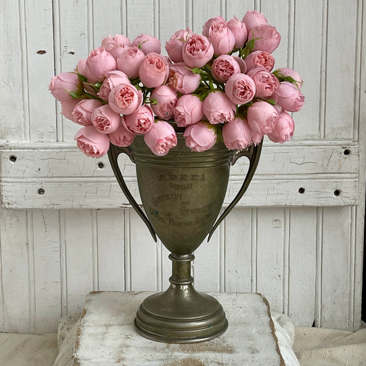 Tea Roses - Light Pink