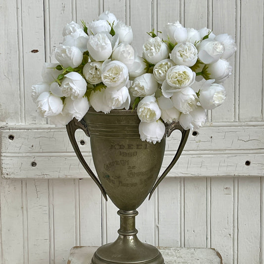 Tea Roses - White
