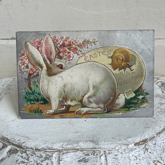 Antique Easter Greeting Card - White Bunny