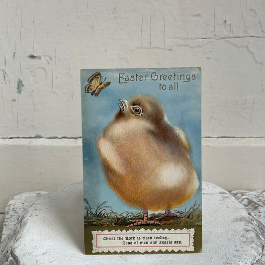 Antique Easter Greeting Card - Fuzzy Chick with Butterfly