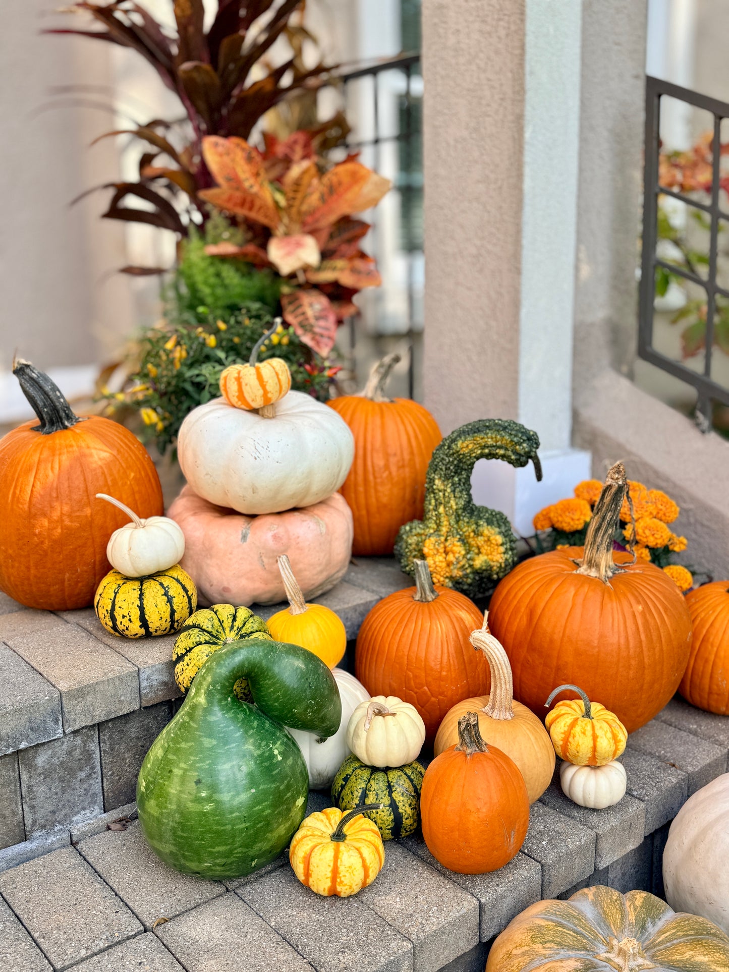 Fall Pumpkin Package 3