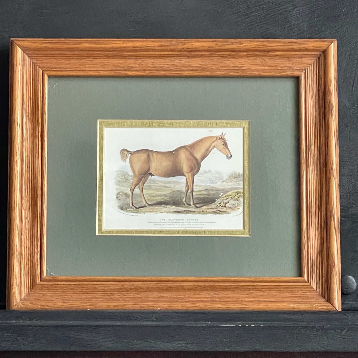 The Old Irish Hunter