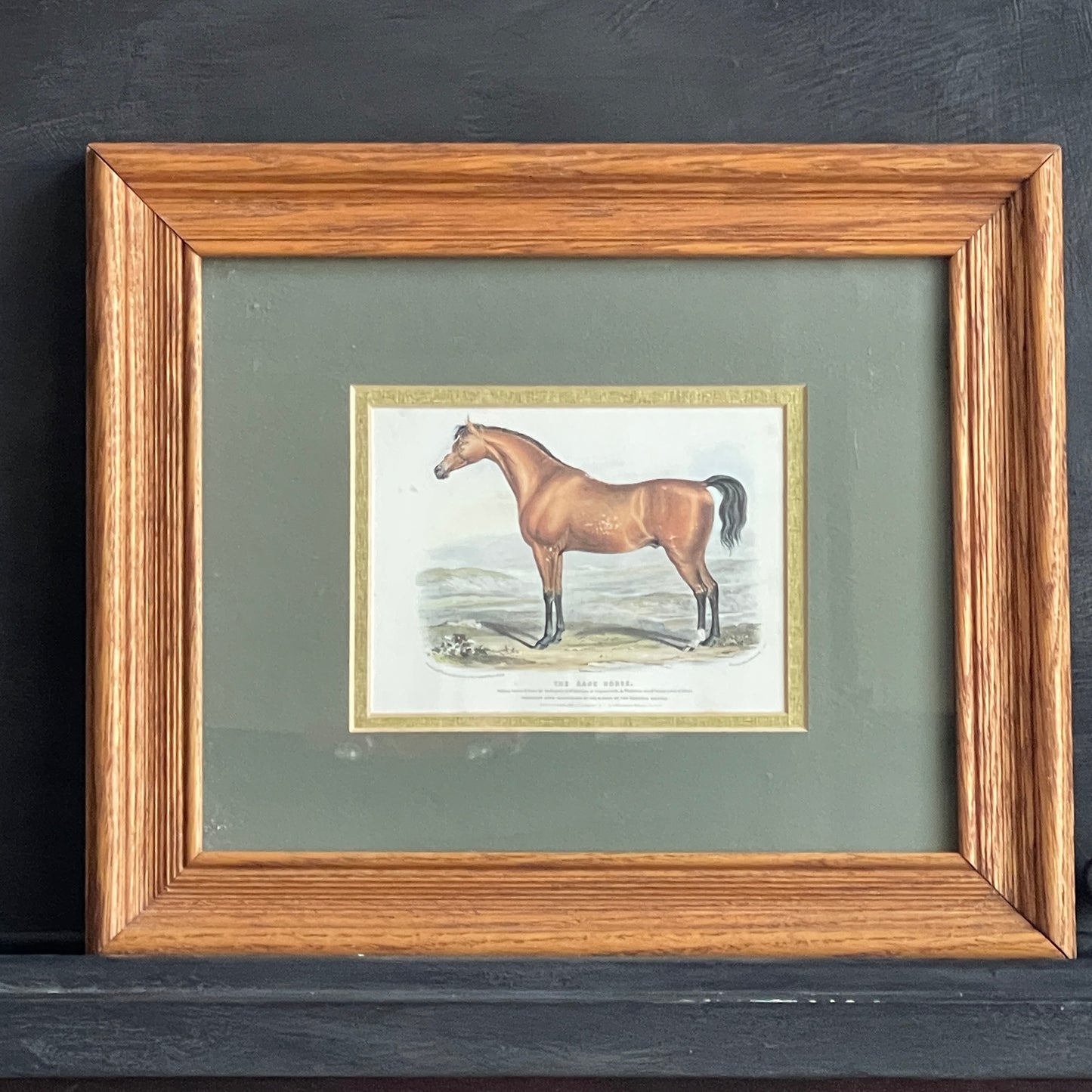 The Race Horse
