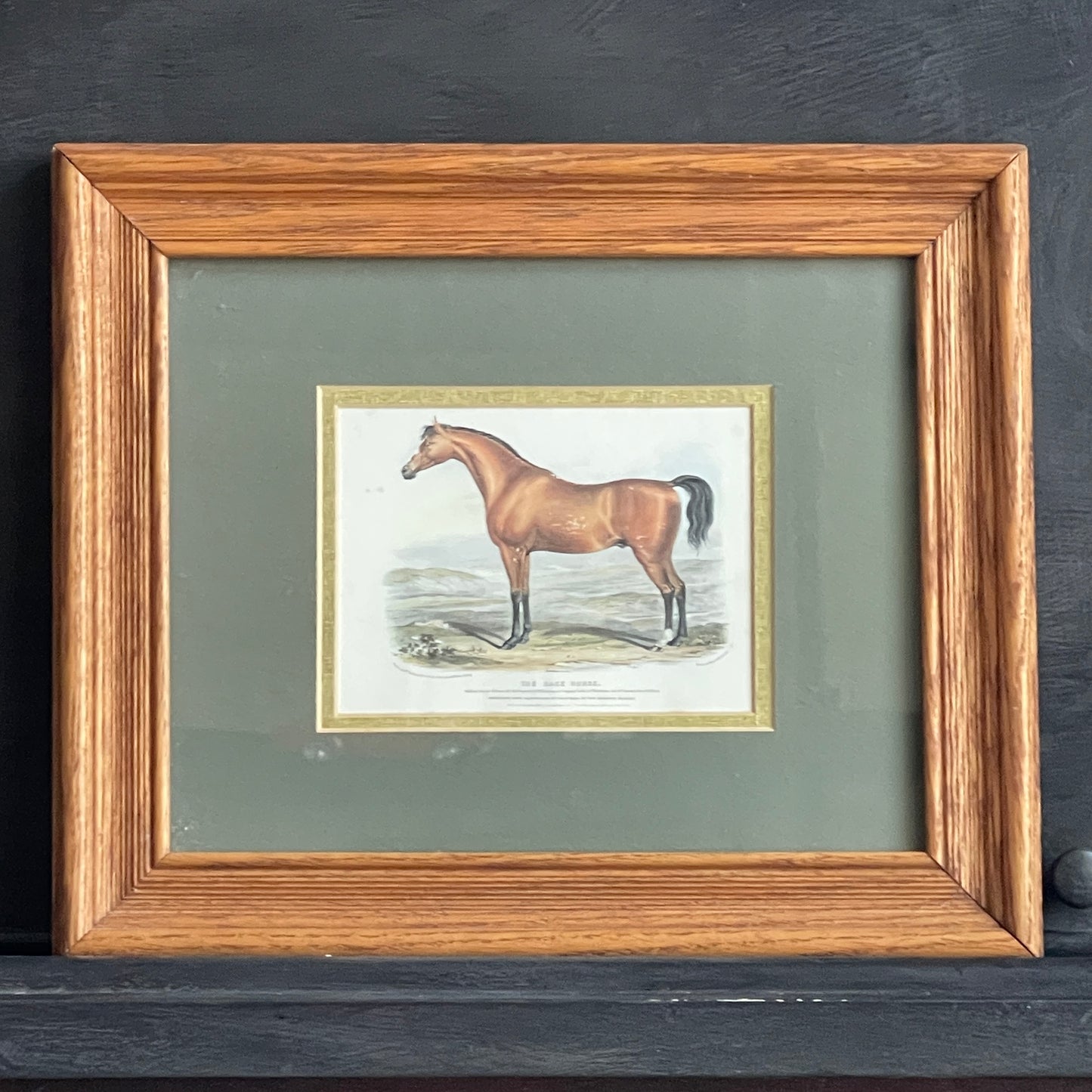 The Race Horse