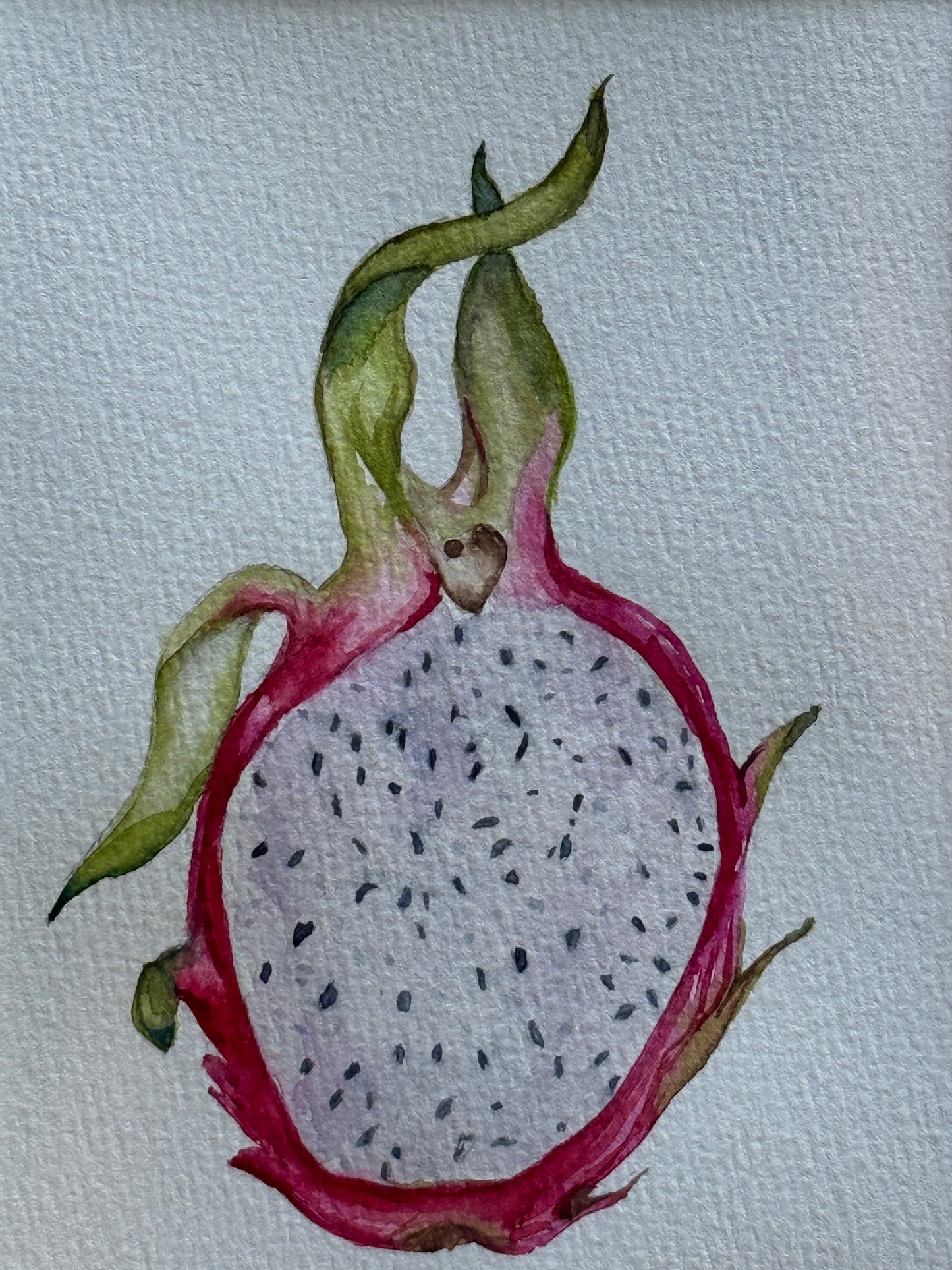 Artistic depiction of a dragon fruit on a textured white background