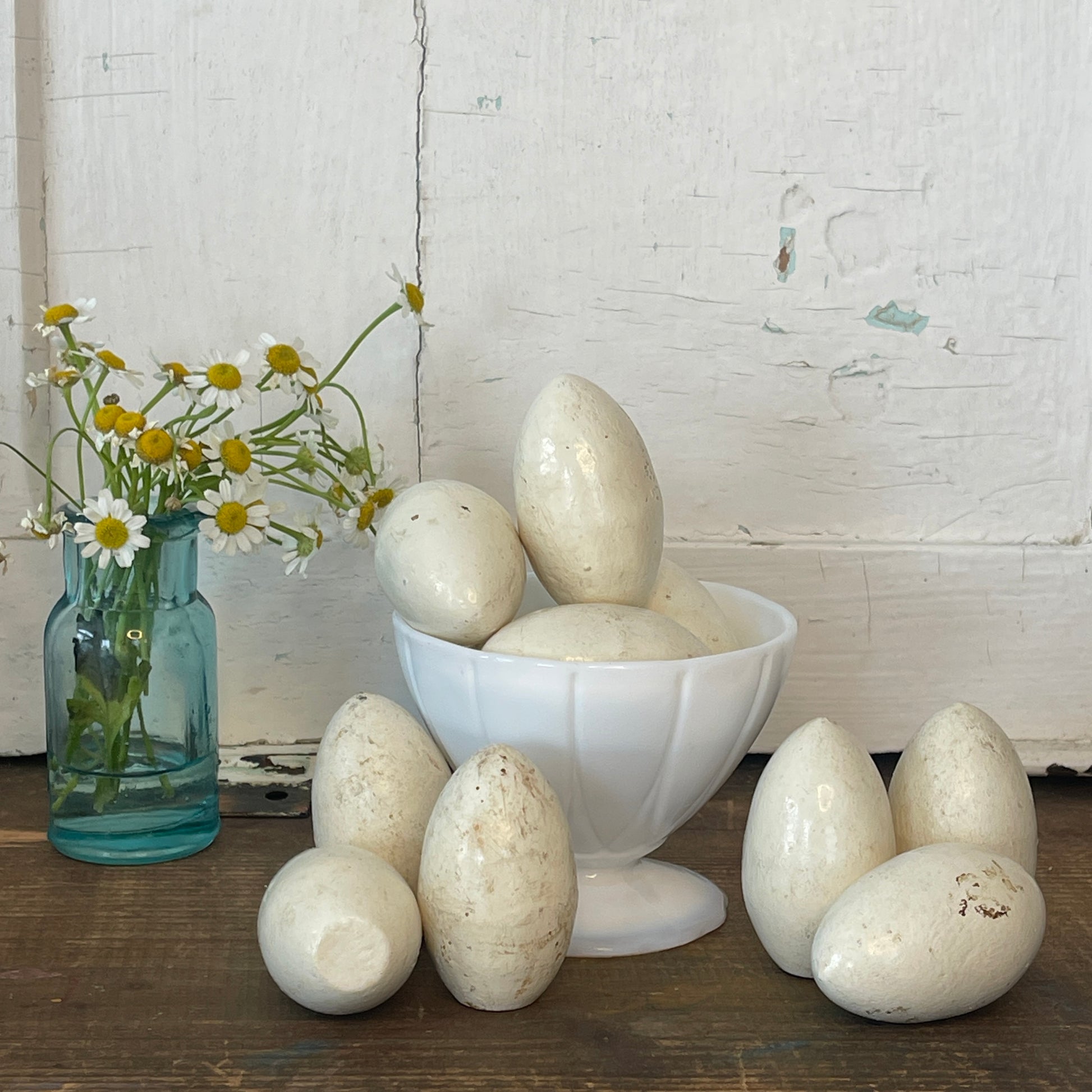 broody eggs