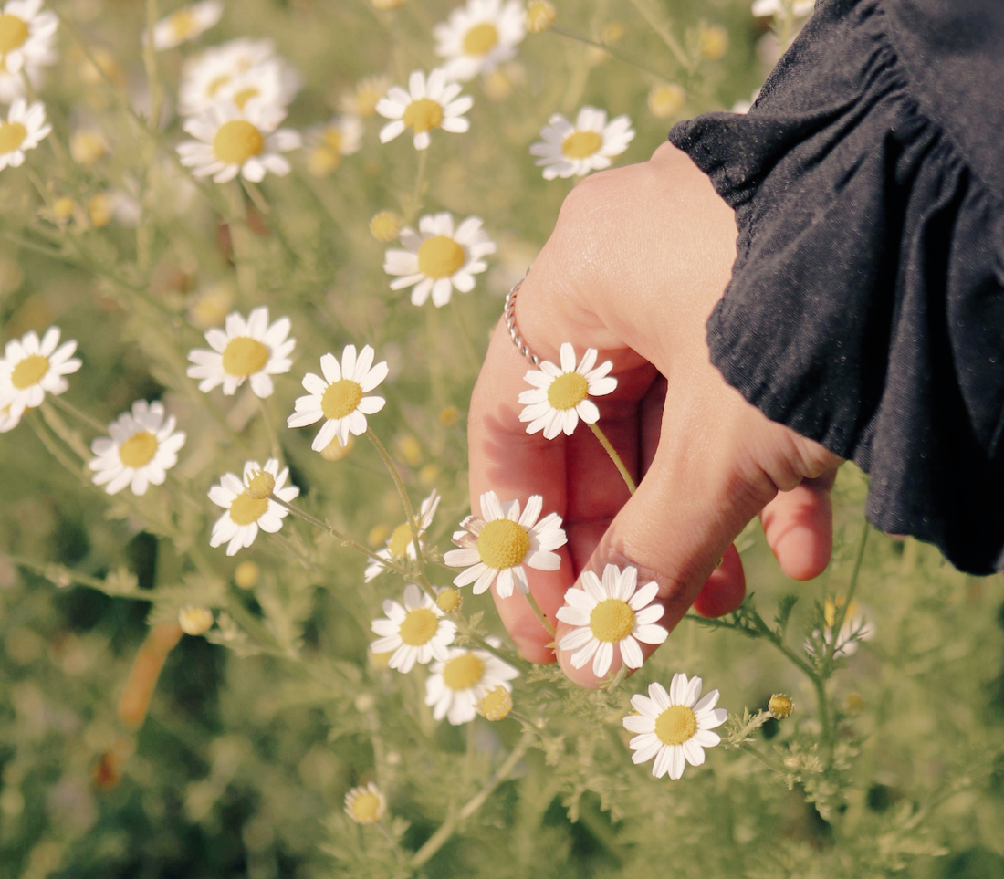 Today It's From The Heart: When we take pause.