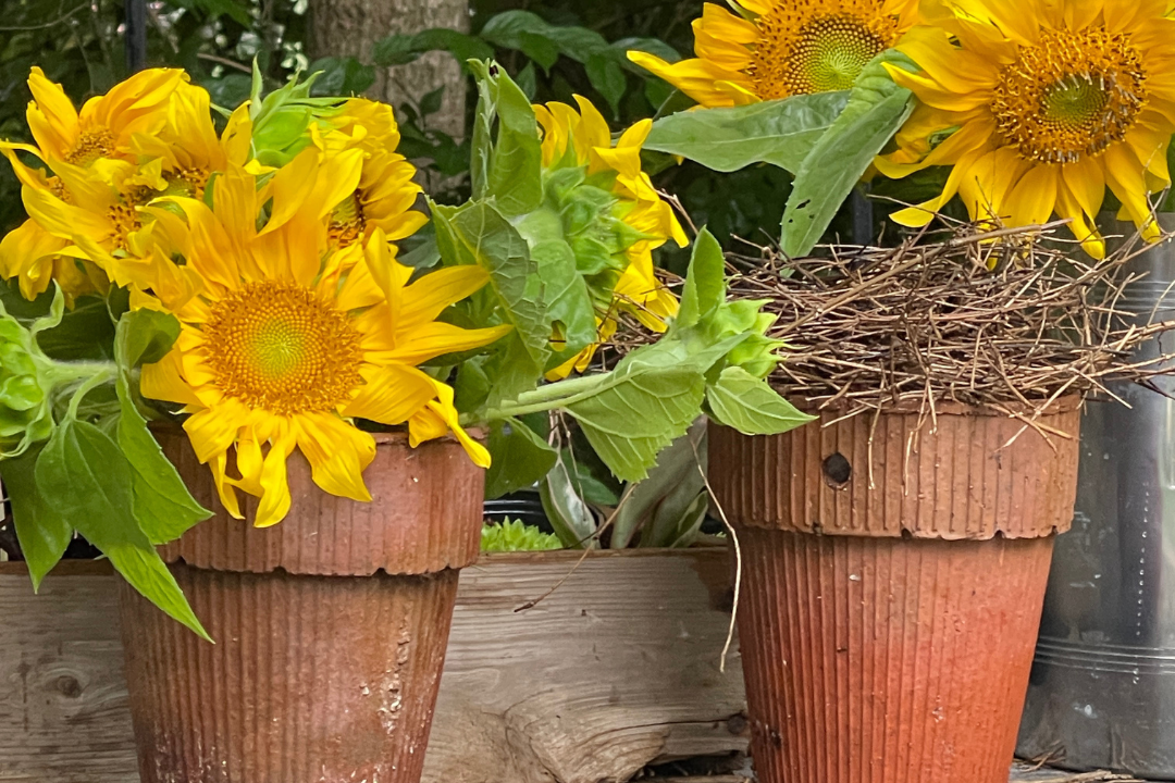 Vintage Turpentine Terracotta Pot