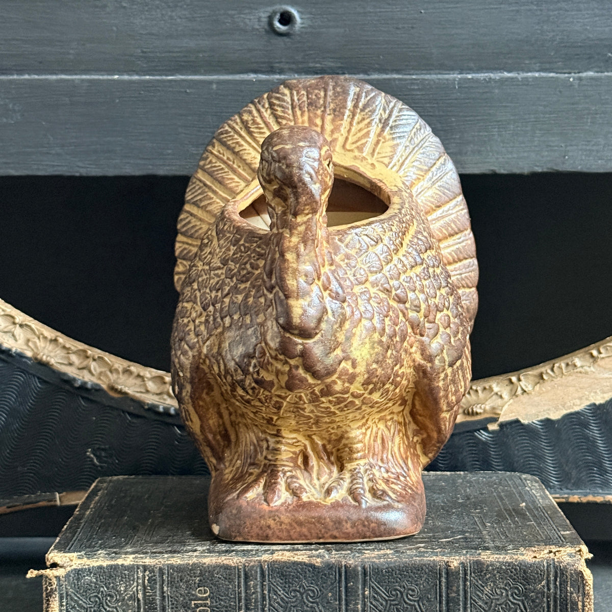 Thanksgiving Turkey Planter