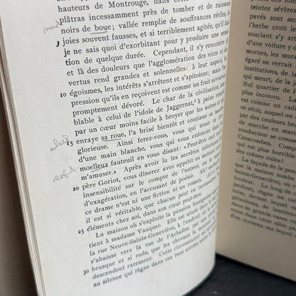 Le Père Goriot Book