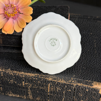 Limoges Yellow & Gold Butter Pat