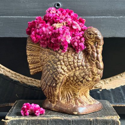 Thanksgiving Turkey Planter