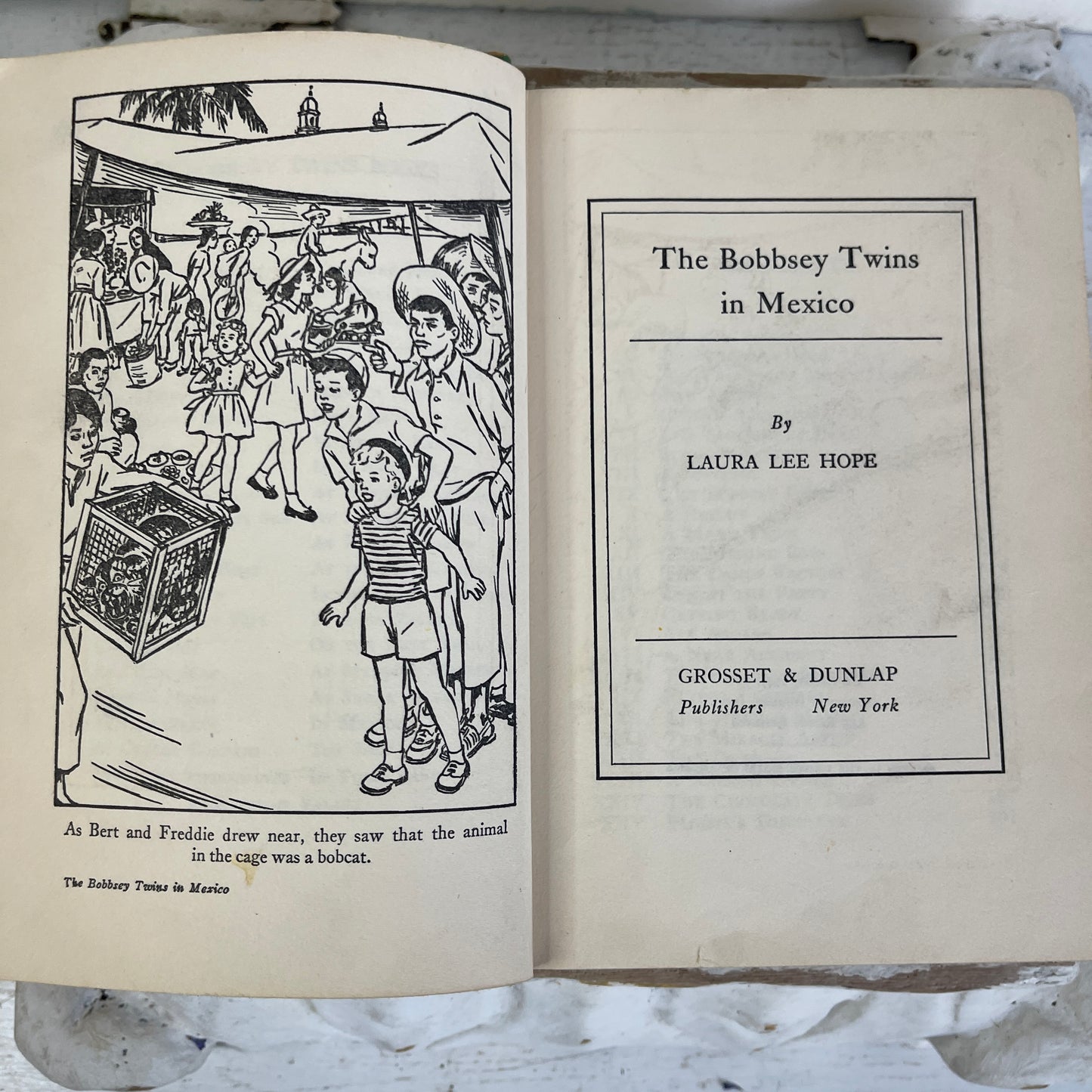 The Bobbsey Twins in Mexico - 1947