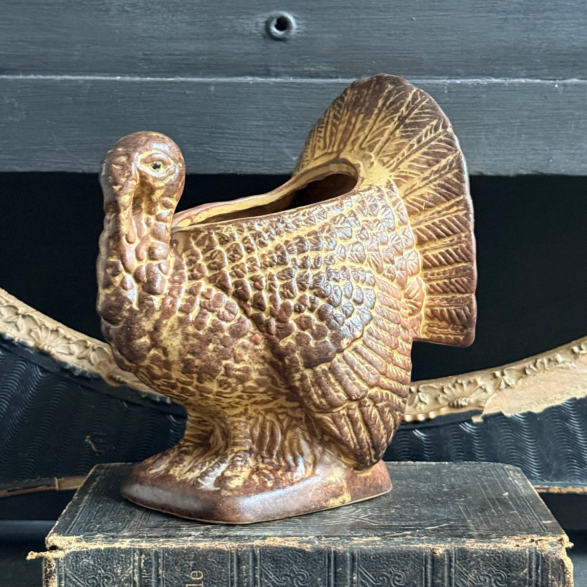 Thanksgiving Turkey Planter