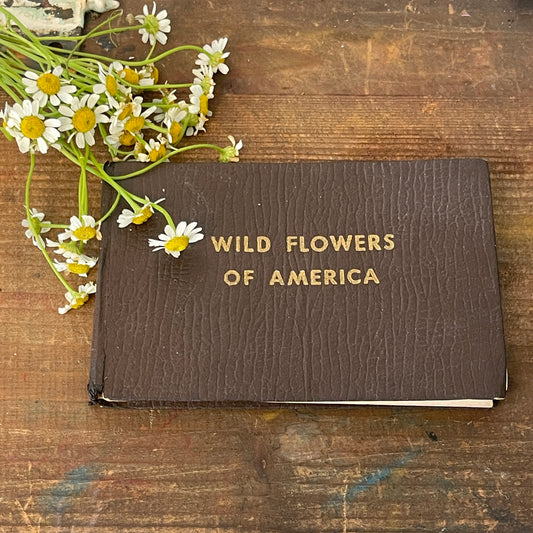 Wild Flowers of America Book