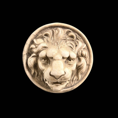 Large Lion Medallion Wall Plaque