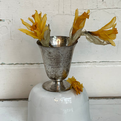 Vintage Town Club Trophy Cup