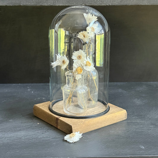 Glass Display Cloche with Bottles