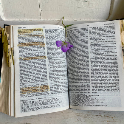 Vintage Bible Book