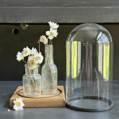Glass Display Cloche with Bottles