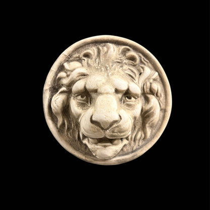 Large Lion Medallion Wall Plaque