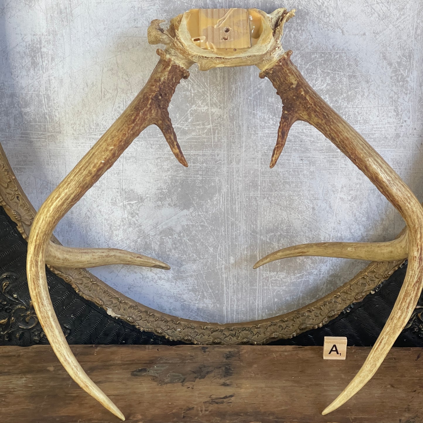 Deer Antler Rack