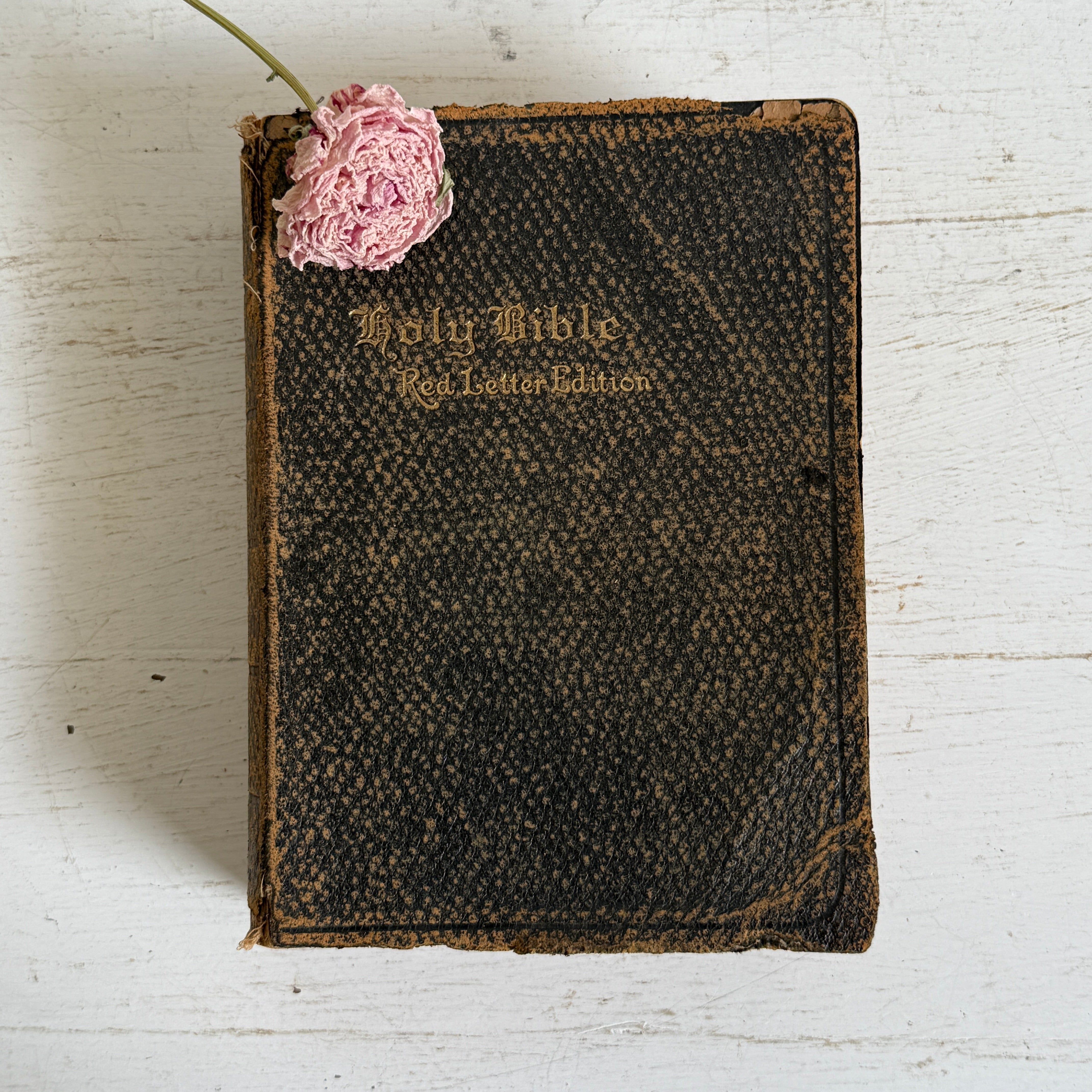 Vintage Bible - Red Letter Edition