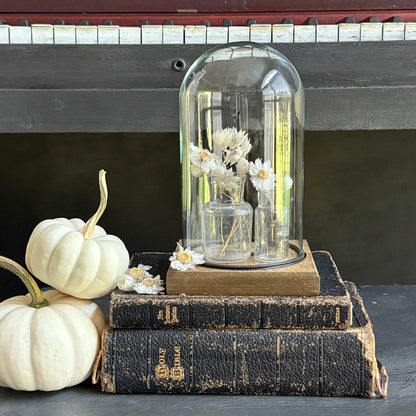 Glass Display Cloche with Bottles