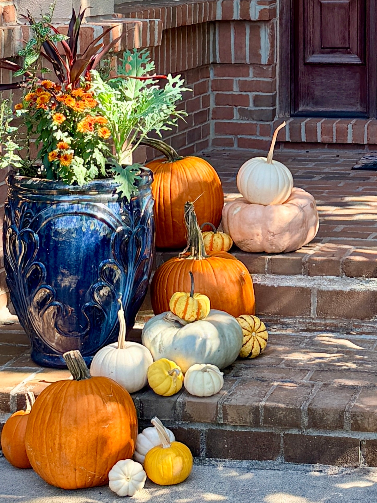 Decorative arrangement of pumpkins and flowers on a stone step with a blue pot. fairy dust and rust