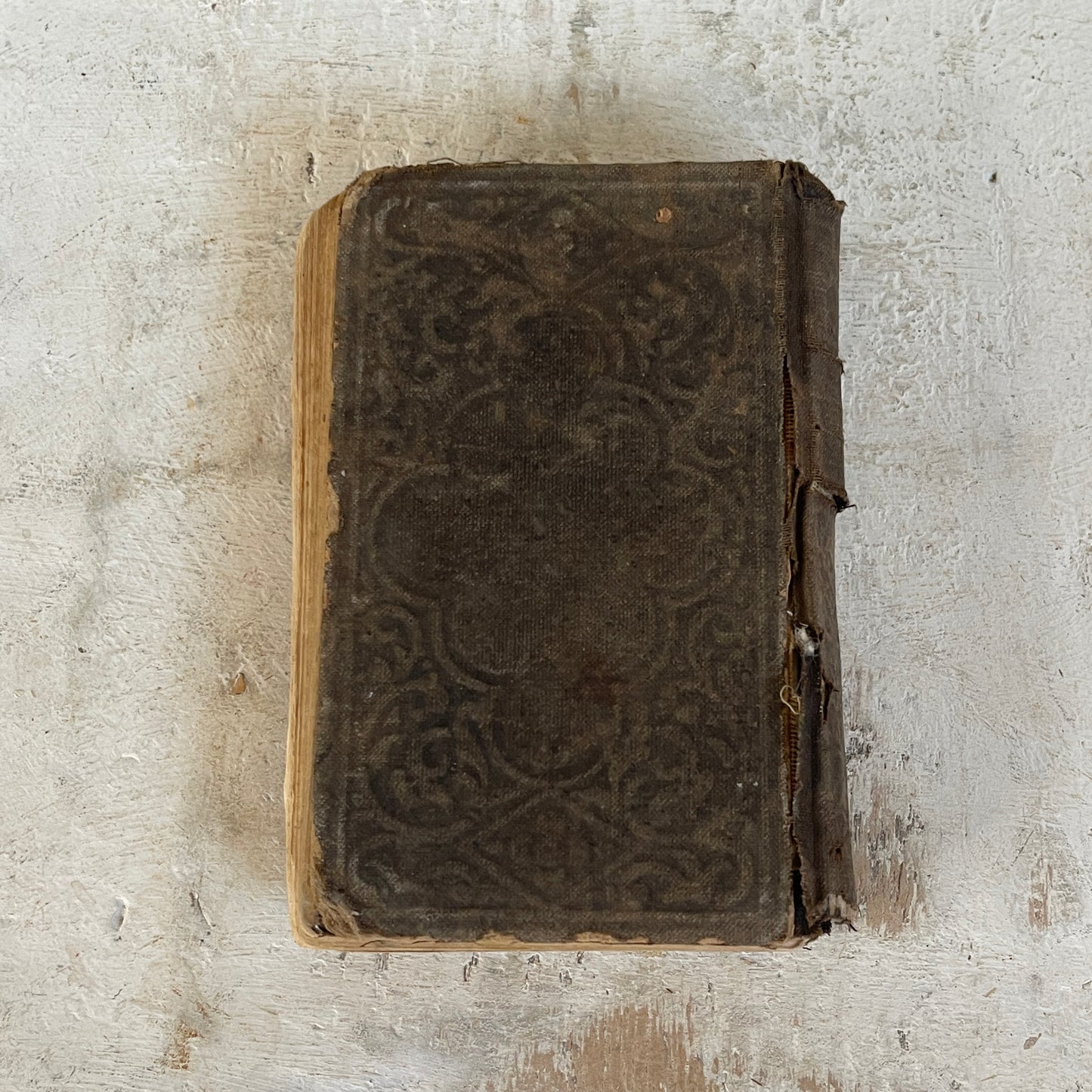 Antique Pocket Bible Book