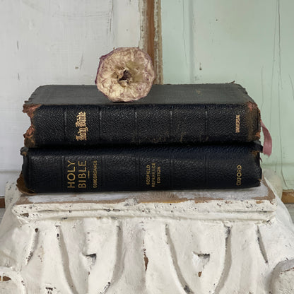 Set of Inscribed Bibles