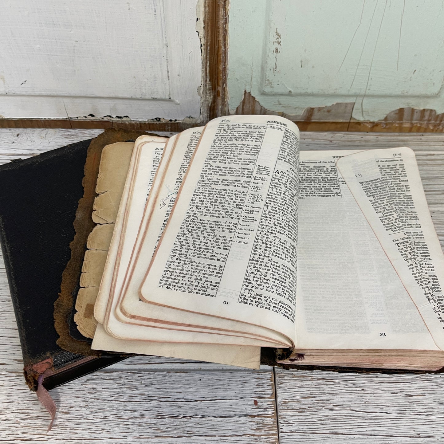 Set of Inscribed Bibles