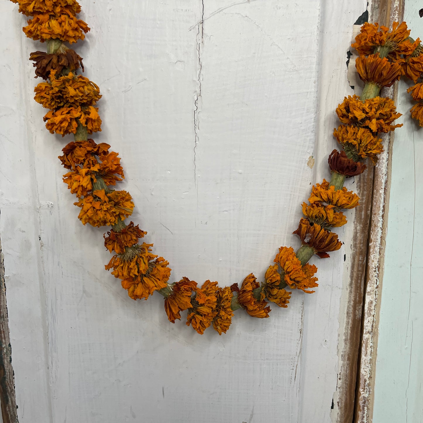 Dried Marigold Garland