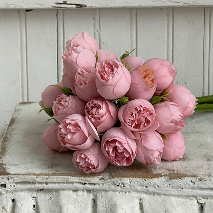 Tea Roses - Light Pink