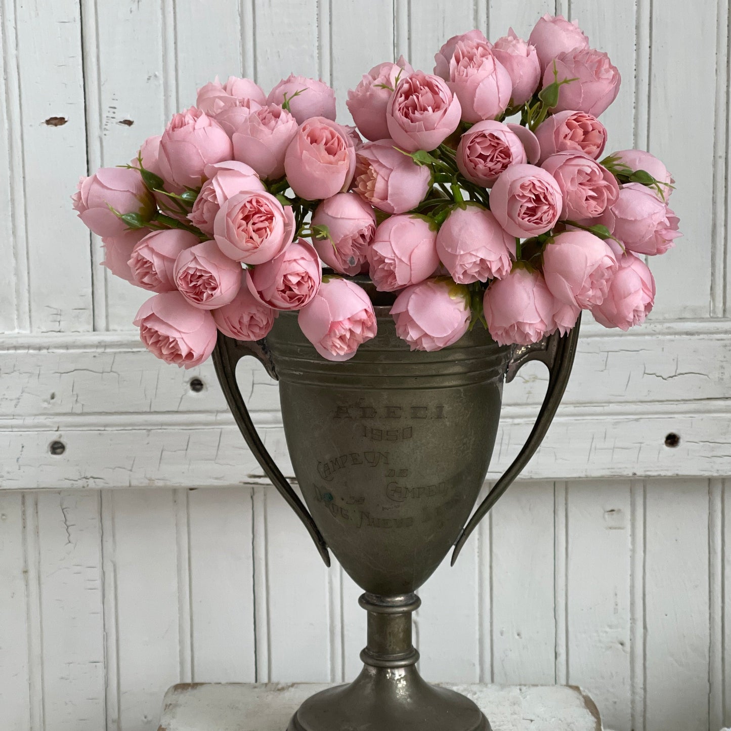 Tea Roses - Light Pink