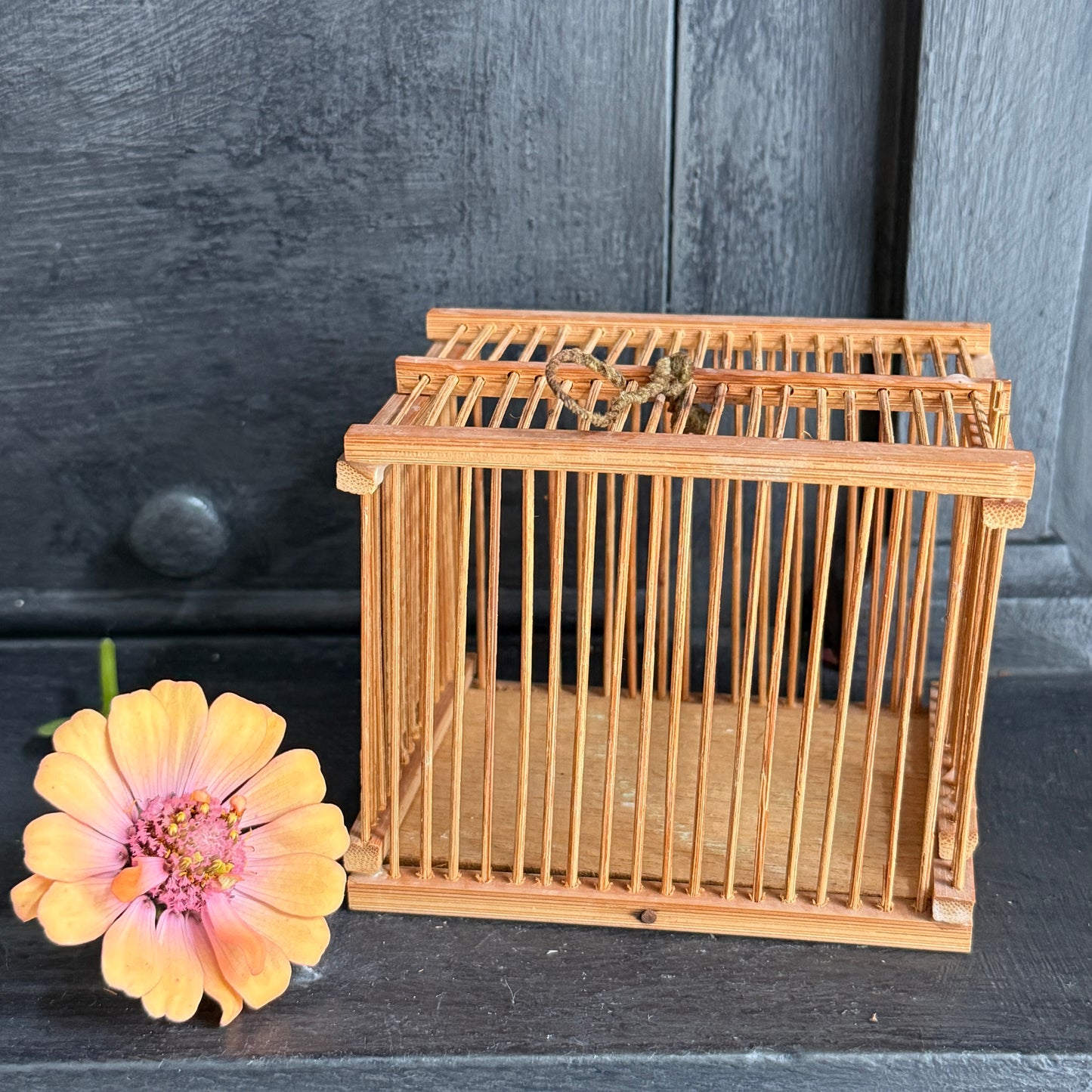 Vintage Bamboo Insect Cage