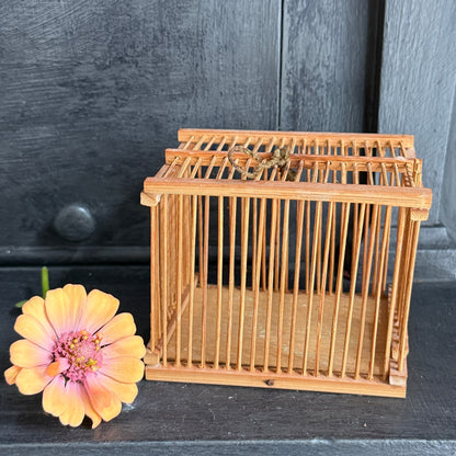 Vintage Bamboo Insect Cage