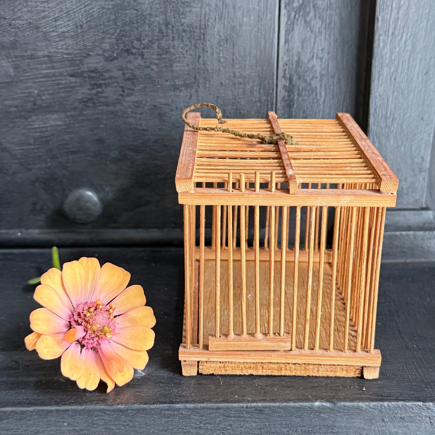Vintage Bamboo Insect Cage