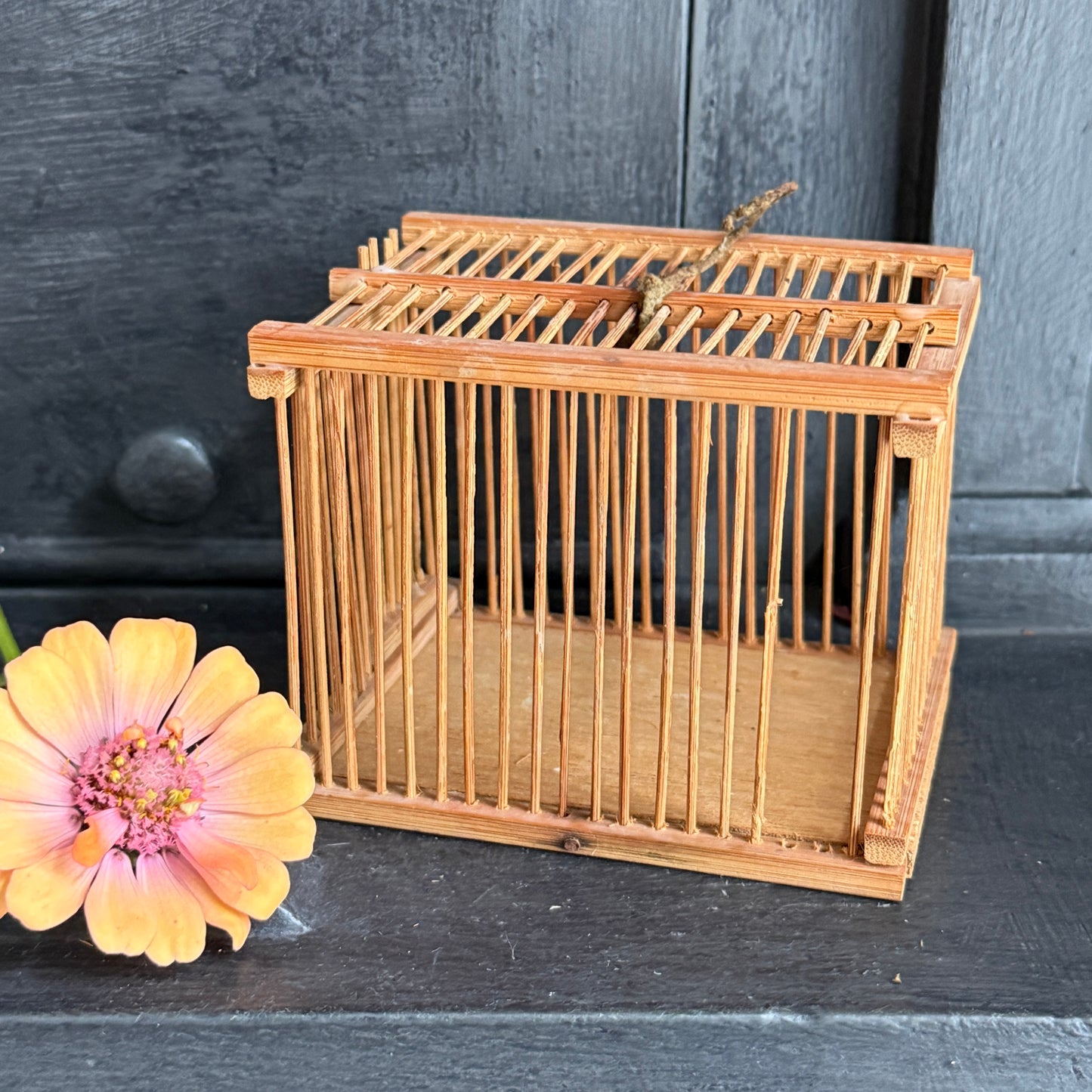 Vintage Bamboo Insect Cage