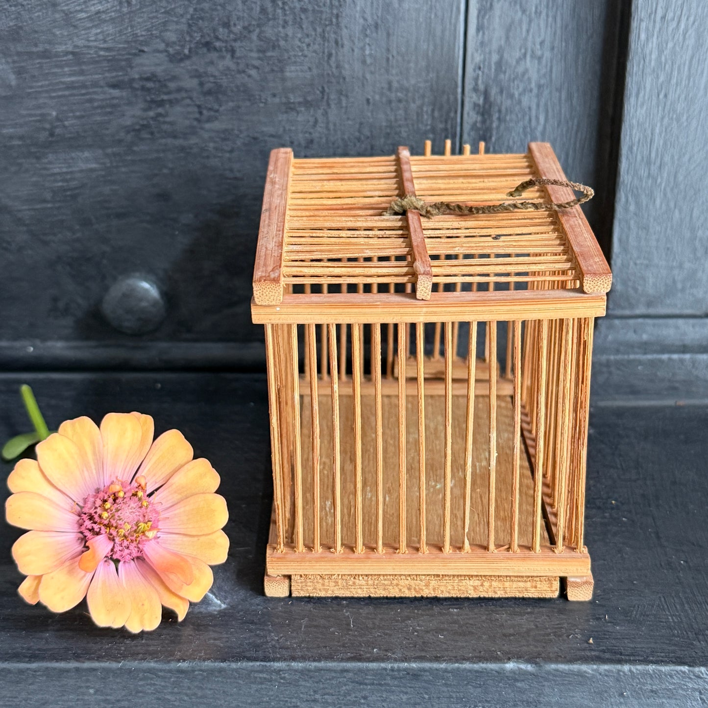 Vintage Bamboo Insect Cage