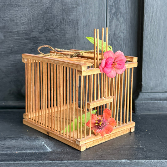 Vintage Bamboo Insect Cage