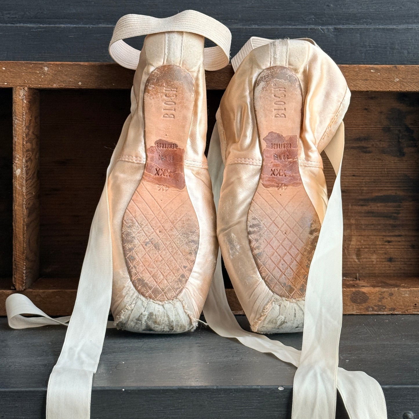 Ballet Pointe Shoes