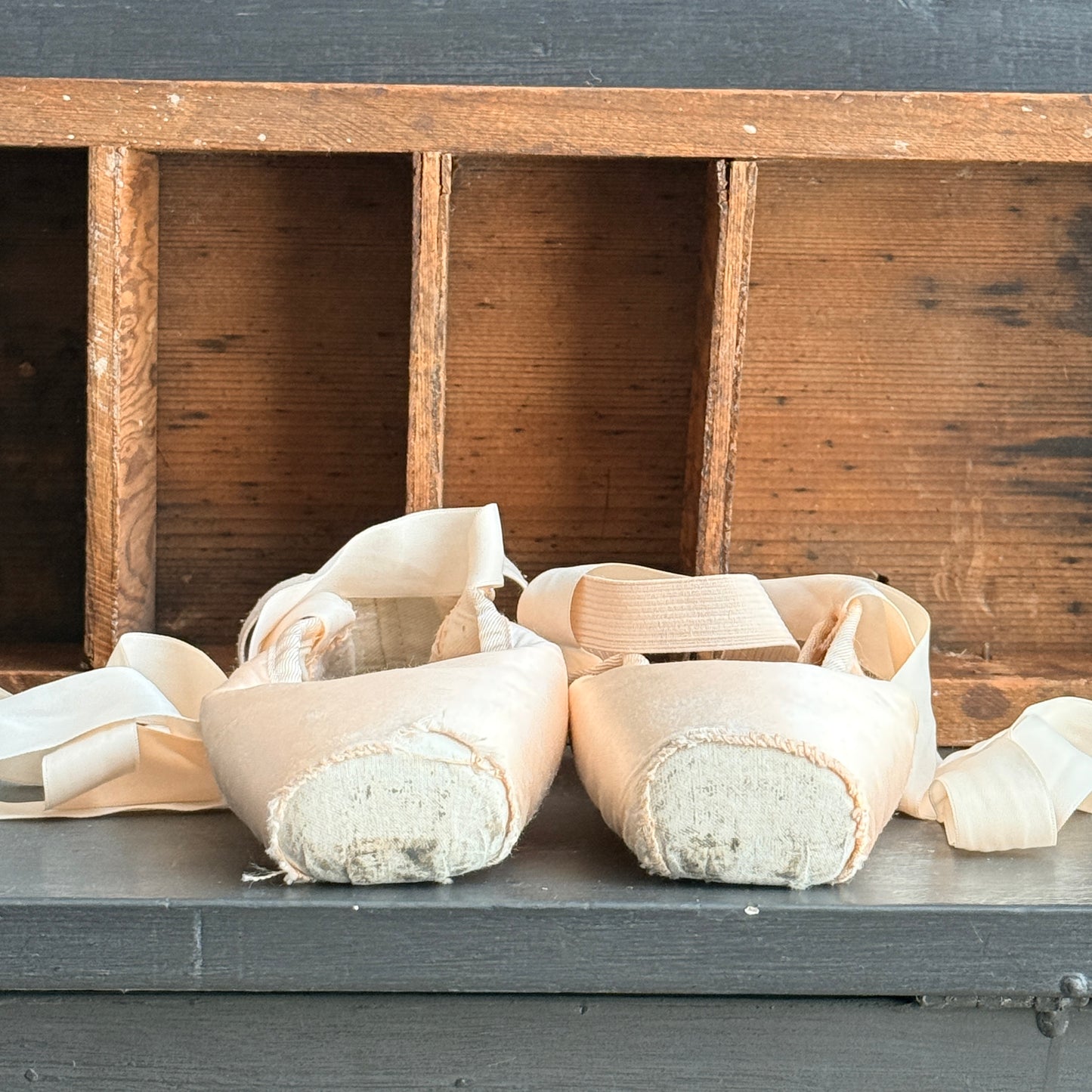 Ballet Pointe Shoes