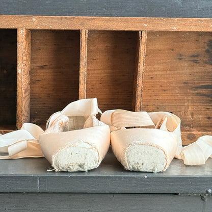 Ballet Pointe Shoes