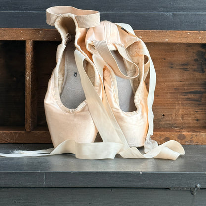 Ballet Pointe Shoes